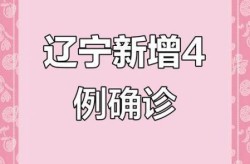辽宁新增4例本土确诊，辽宁新增本土病例最新消息