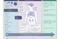 2025年新冠高峰期，2025年6月新冠严重吗