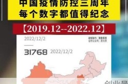 这几年的疫情叫什么名字来着，这几年的疫情叫什么名字来着呢
