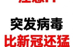 最近什么病毒这么厉害，最近爆发什么病毒感染
