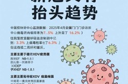2024新冠疫情最新动态，2025新冠最新消息今天