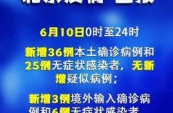 北京境外输入病例户籍（北京通报境外输入病例详情）
