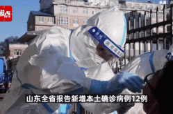 山东新增本土病例6例是哪里的（6省新增本土30例山东省）
