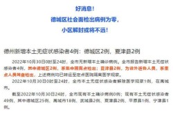 德州疫情最新动态今天（山东德州疫情最新消息分别是哪里的）