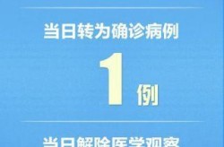 31省区市新增21例（31省区市新增多少例新闻）