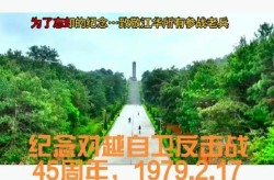 对越自卫反击战纪念日，对越自卫反击战时间的起止日期