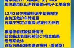 石家庄新增14例本土病例，河北新增4个本土确诊病例