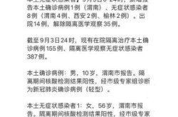 31省份增本土确诊156例 陕西155例?，31省份新增本土确诊30例