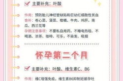 孕前期需要补充什么营养，怀孕一个月需要补充什么营养