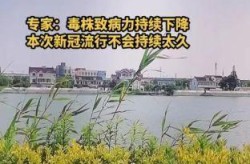 北京疫情最新消息2020，2025新冠最新消息北京