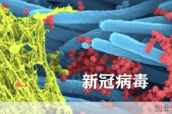 新冠病毒是谁制造出来的，新冠病毒的来源到底是哪里来的