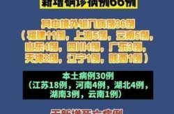 新增确诊30例本土8例，新增本土确诊30例