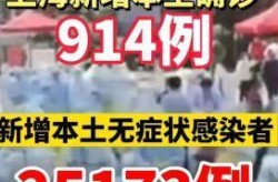 上海市疫情是哪一年，上海疫情最早是哪天