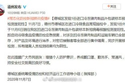 山东德州最新疫情最新消息，山东德州疫情最新消息分别是哪里的