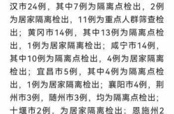 湖北新增病例（新增疫情最新消息）