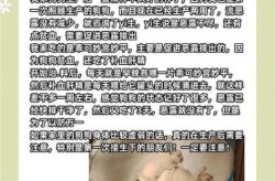 医生说狗狗贫血 3个月大 应该吃什么补 阿胶补血剂狗狗能吃么？