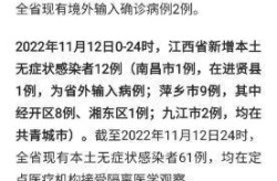 湖南新增确诊2例 其中本土1例病例，湖南现有确诊病例