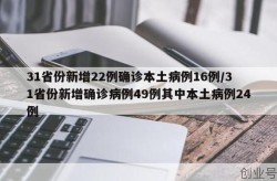 31省份新增本土确诊37例:陕西24例，31省份新增本土确诊30例
