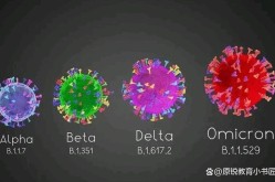 山西首次发现奥密克戎BF.7变异株，奥密克戎变异毒株BF.7
