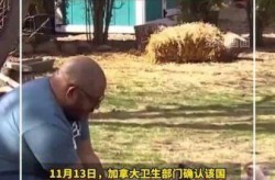 加拿大疫情最新消息，加拿大疫情最新消息_加拿大疫情