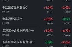 中高风险基金适合持有多久，中高风险的基金敢买吗