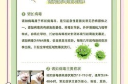 病毒潜伏期传染性强吗，潜伏期病毒会传染人吗
