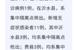 山东临沂今天新增病例多少，山东新增肺炎病例
