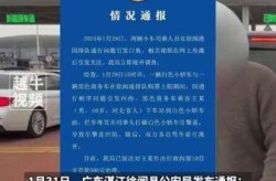 湛江最新疫情情况通报（广东湛江最新疫情最新消息）