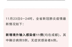 四川新型肺炎确诊病例（四川有确诊新肺炎最新消息）