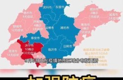 山东最新疫情地图实时更新，山东疫情地图实时更新
