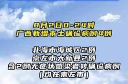 广西最新疫情情况最新消息（最近的疫情情况最新消息）