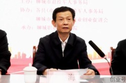 聊城二级响应最新通知今天，2025二级响应最新消息通知