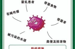 霍乱最主要的传播途径，霍乱的传播途径主要为哪四种