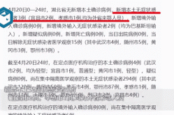 湖北1男童阳性（2021湖北一例感染者是谁）