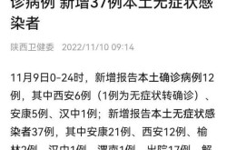 陕西新增3例本土病例（陕西新增确诊病例通报）