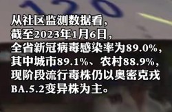 2023年5 6月疫情，2023年的疫情是什么病毒