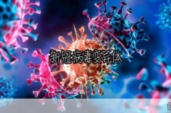 2023年新冠叫什么，2023年还有新冠吗