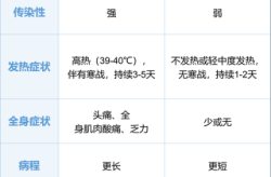 23年底的流感叫什么病毒，2009年流感叫什么
