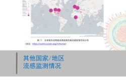 本轮疫情关联病例已超400例，本轮疫情本土确诊超1000例
