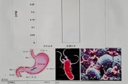 福建发现6例阳性人员源头（福建发现6例阳性轨迹）