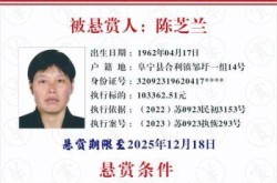 山东临沂所有失信人名单，山东临沂老赖名单一览表