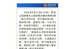 黑龙江大庆市新增1例确诊，黑龙江大庆新增确诊名单