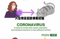 新冠病毒的天敌找到了，新冠病毒到底是什么动物引起的