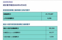 2024年10月新冠高峰，2024年1月新冠叫什么