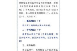 泰安疫情最新消息今天又增加9人病例，今年疫情最新消息