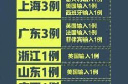 31省新增25例境外输入确诊，31省增16例境外输入