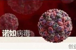 2023年底流行的病毒，2024年流行的病毒叫什么