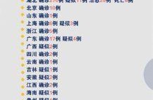 国内最新冠状病毒疫情，新型冠状病毒肺炎疫情