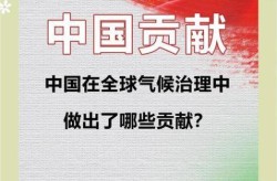 全球仅剩中国坚持清零，中国主张全球治理要坚持什么原则