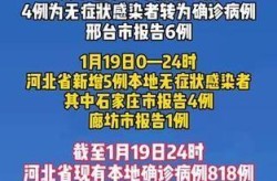 石家庄新增确诊病例5例详情（河北新增1确诊病例）